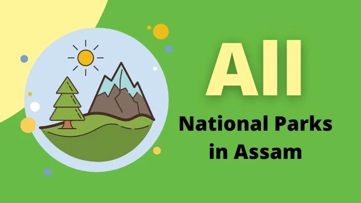 7 National Parks in Assam You Can Visit In 2022 (With Photo)