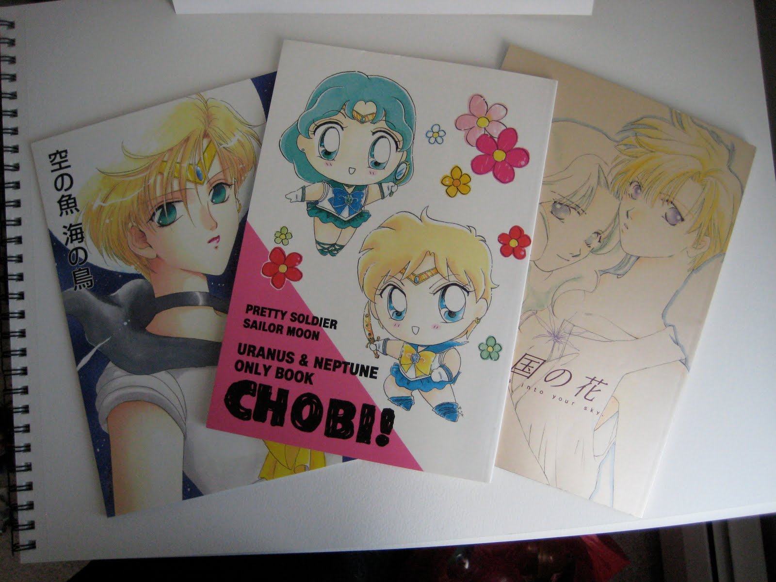 Kori Goes to Japan: Post Japan: Buying Anime Goods