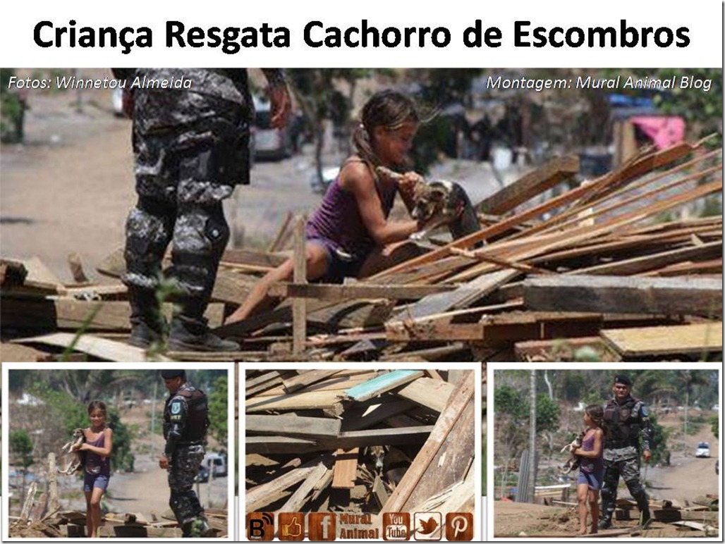 Criança Resgata Cachorro de Escombros