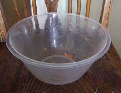 Salad bowl thrown away after picnic1_web