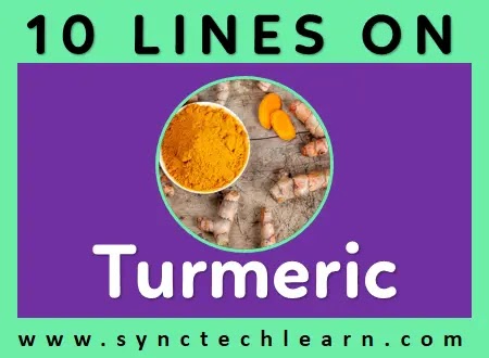 10 lines on turmeric in english