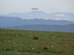 DSC00787
