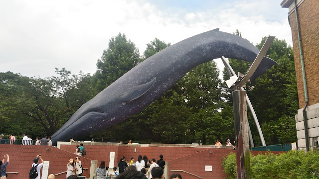 La célèbre baleine du Musée