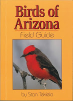 Birds Of Arizona Field Guide