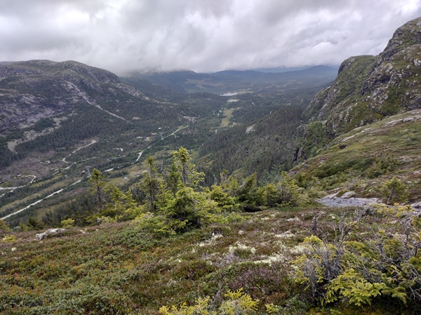 Kristnatten Dyreskard Skardssetera