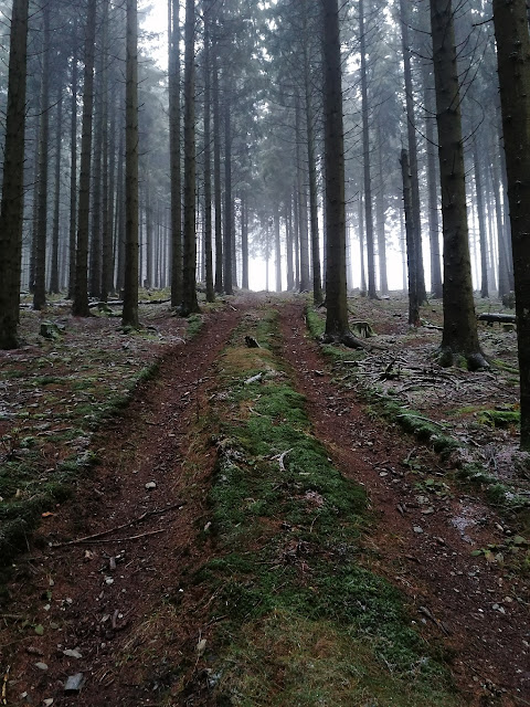 Sauerland wandern Wetter blog Willingen