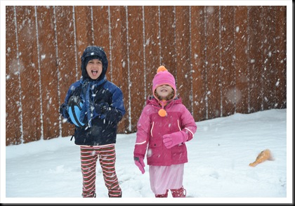 snow