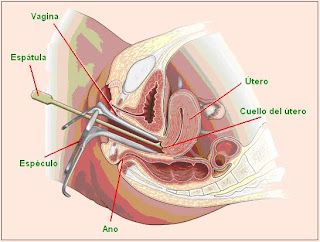 Toma de muestra para la prueba de Papanicolaou