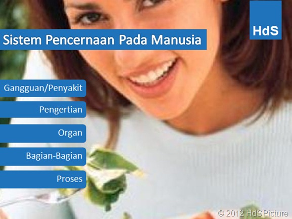 sistem pencernaan pada manusia pdf