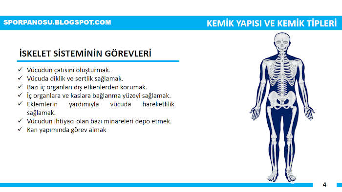 Spor Anatomisine Giriş 4