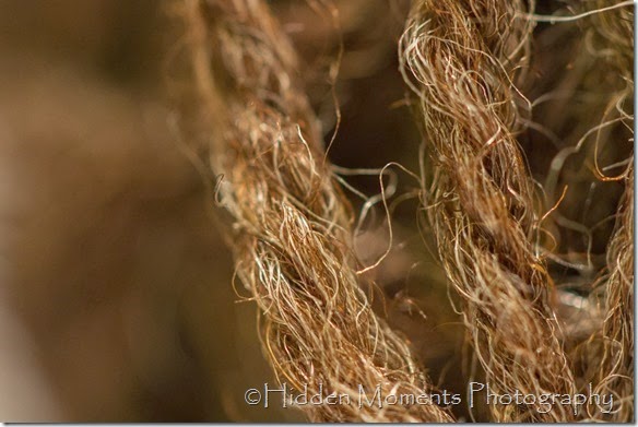 Yarn of my heart a