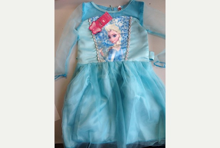 Fake Disney Frozen Elsa costume