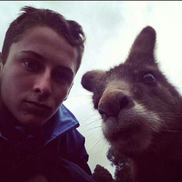 Funny animals taking selfies with humans (35 pics), animal selfies, funny animal pics, animal selfy