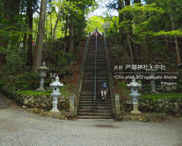 戸隠神社：中社