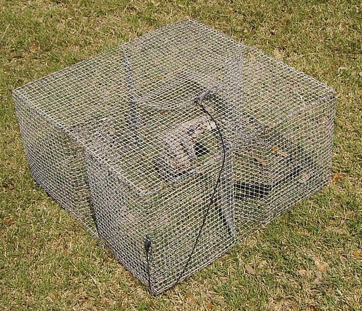 Stealth Survival : Riverwalker's Pics - Home-Made Fish Trap