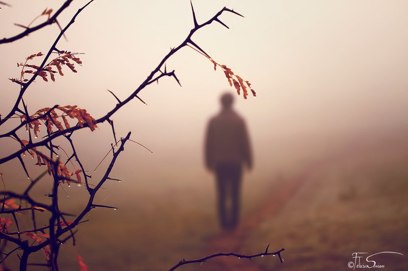november_song_by_ineedchemicalx-d6ufxzz-2013-03-15-07-05.jpg