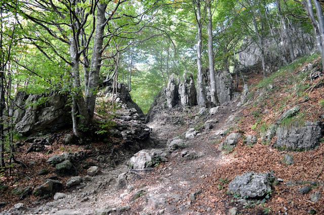 escursioni trekking passeggiate valle imagna