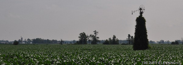 DSC_0004