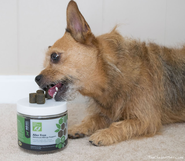 Mini Review: Only Natural Pet Aller Free Allergy Support Dog Supplements