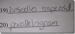 photo 3 (5)