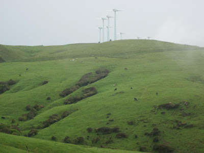 wind farm