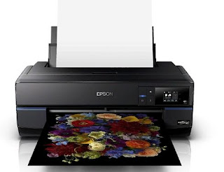 Epson SureColor P800