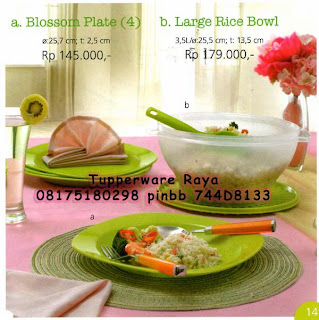 tupperware promo,katalog tupperware,katalog tupperware promo januari 2014