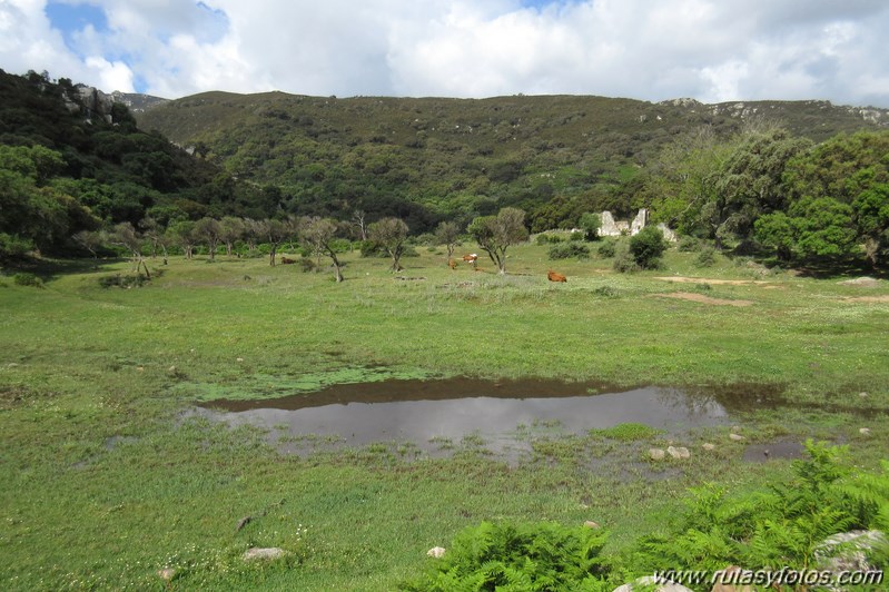 La Trocha - Rio de la Miel