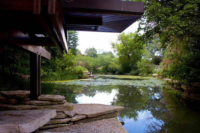 Alfred Caldwell Lily Pool, Chicago - Tammy Sue Allen Photography