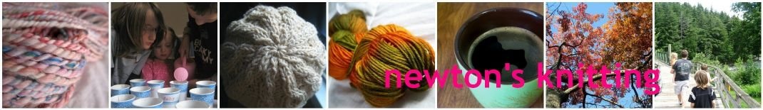 Newton's knitting