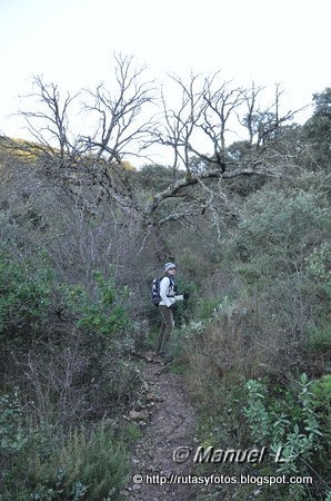 Ascensión al Terril