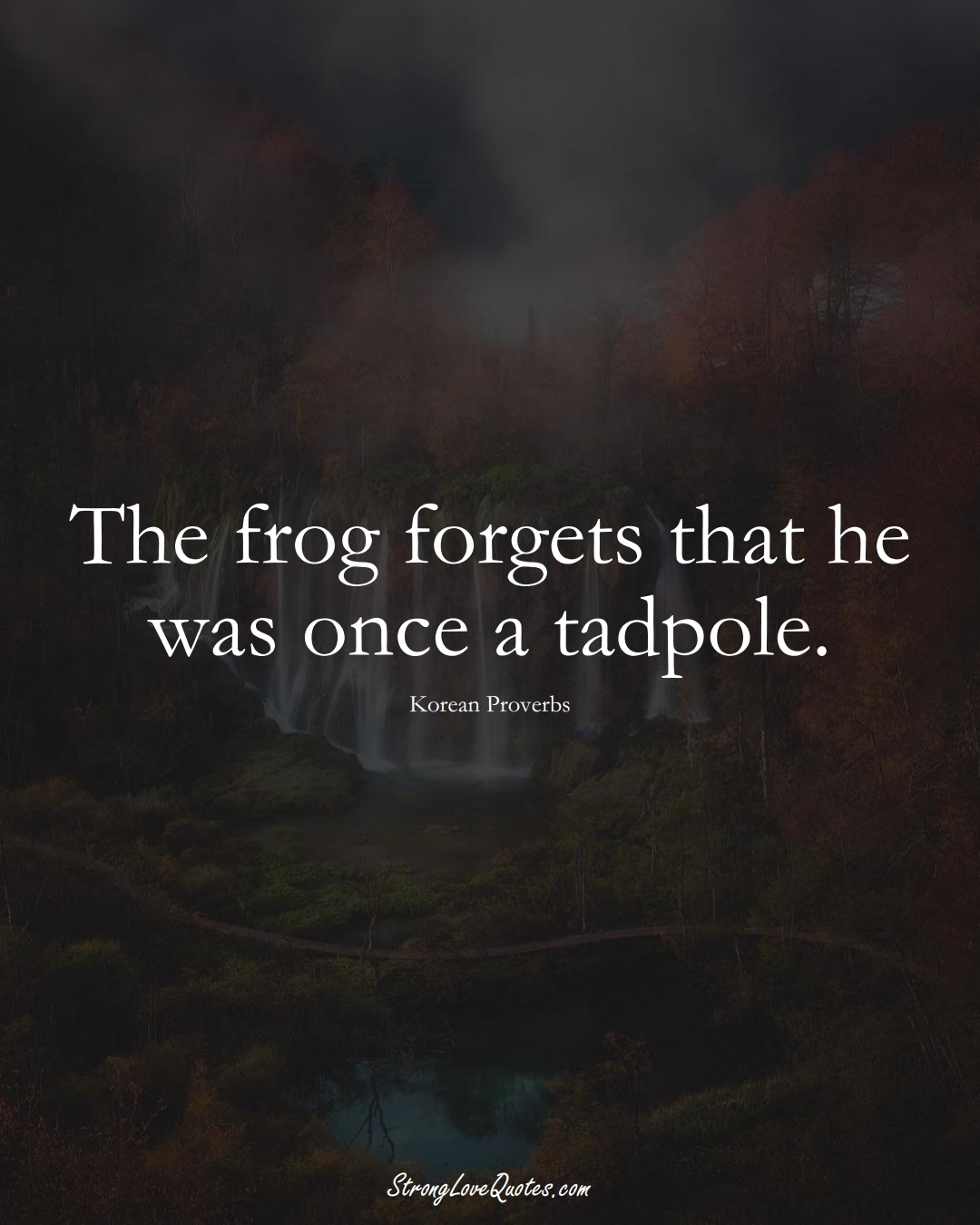 The frog forgets that he was once a tadpole. (Korean Sayings);  #AsianSayings