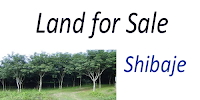 Agriculture land for sale in Shibaje