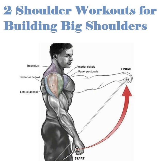 Best Shoulder Workouts for Mass