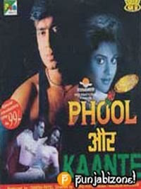 Phool Aur Kaante 1991 Hindi Movie Watch Online