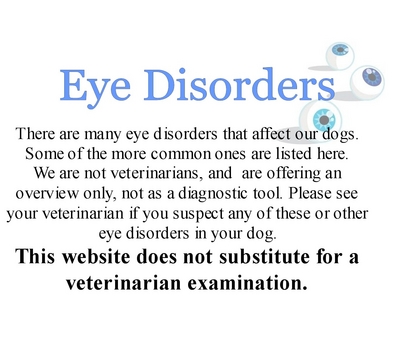 Dog Eye Ailments8