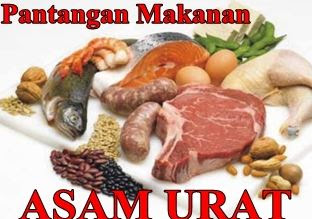 makanan penyebab asam urat, bahaya asam urat, makanan untuk penderita asam urat, pengobatan asam urat, asam urat dan kolesterol, asam urat tinggi, asam urat normal, penyebab asam urat dan cara mengatasinya,