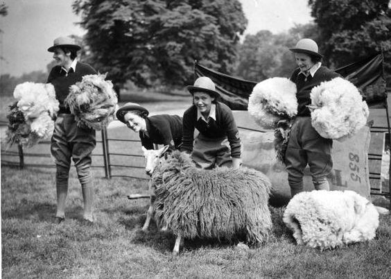 15 May 1940 worldwartwo.filminspector.com Hyde Park shearing sheep
