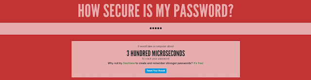 how secure is my password?