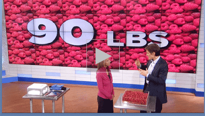 dr oz on raspberry ketone