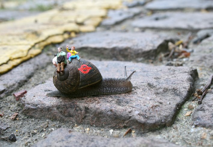 [snail+bus+1+-+blog.jpg]