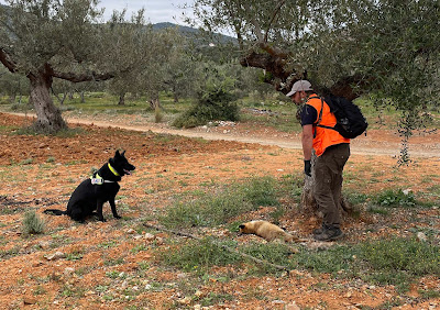 ΑΝΗΣΥΧΗΤΙΚΑ ΤΑ ΠΡΩΤΑ ΕΥΡΗΜΑΤΑ ΤΗΣ ΕΙΔΙΚΗΣ ΜΟΝΑΔΑΣ ΑΝΙΧΝΕΥΣΗΣ ΔΗΛΗΤΗΡΙΑΣΜΕΝΩΝ ΔΟΛΩΜΑΤΩΝ ΤΗΣ ΜΟΝΑΔΑΣ ΔΙΑΧΕΙΡΙΣΗΣ ΠΡΟΣΤΑΤΕΥΟΜΕΝΩΝ ΠΕΡΙΟΧΩΝ ΝΟΤΙΑΣ ΠΕΛΟΠΟΝΝΗΣΟΥ ΤΟΥ ΟΦΥΠΕΚΑ