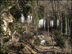 DSCF1971