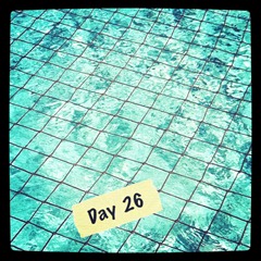 26