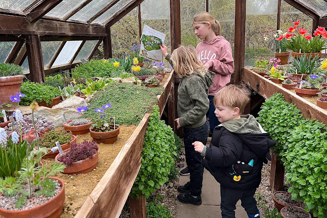 Children in a small green house looking at plants at Capel Manor Gardens