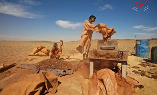 التعدين العشوائي واستخدام المواد السامة يهدد حياة الإنسان والمناخ في السودان