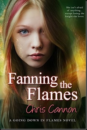 Fanning The Flames  (Going Down in Flames #4)