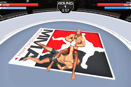 Ww Wwe Wrestling 3d Game Download