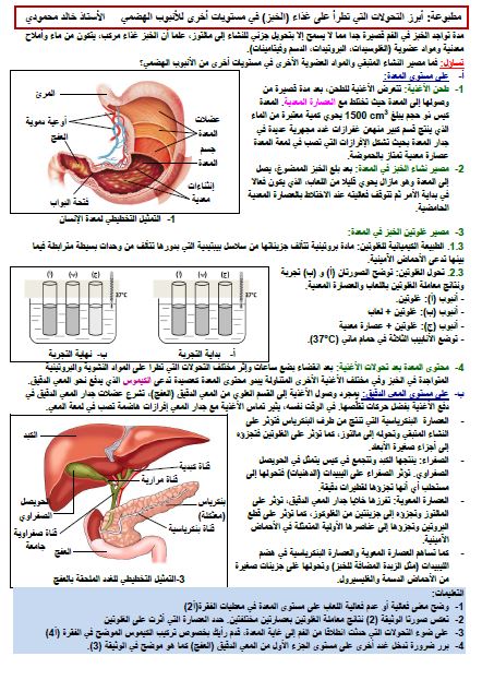 مذكرات مورد تحولات الأغذية خلال الهضم علوم طبيعية للسنة الرابعة متوسط خالد محمودي 2019