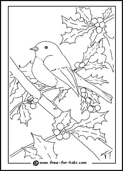 Cardinal Coloring Pages Printable